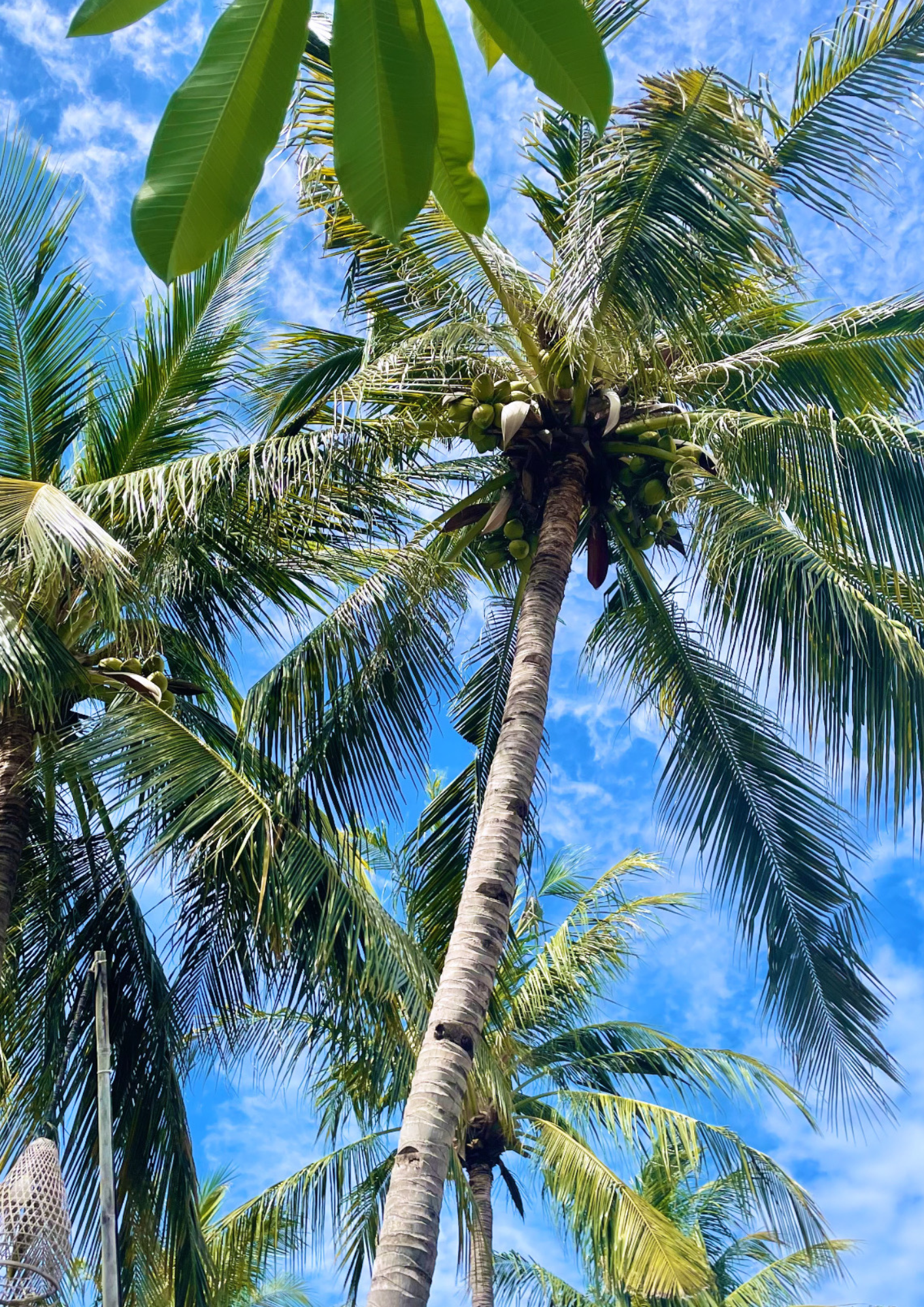 De Betoverende Gili Eilanden: Een Paradijselijke Ontsnapping