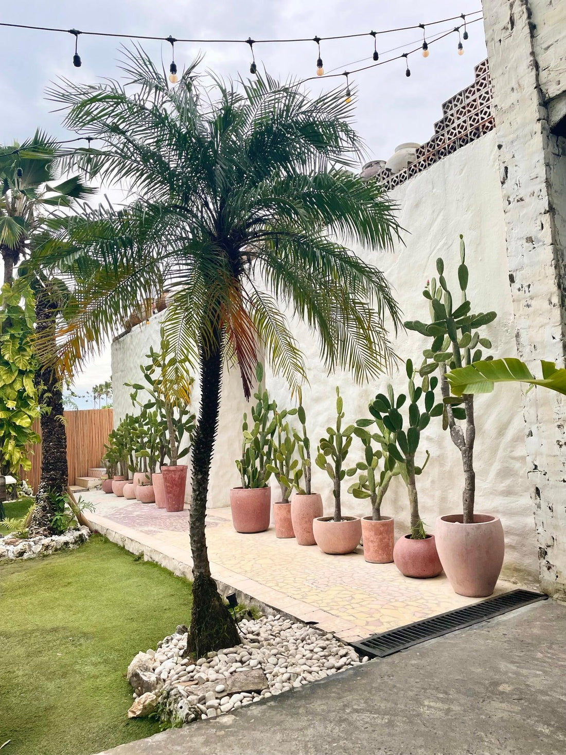 Hotspots in Canggu Bali