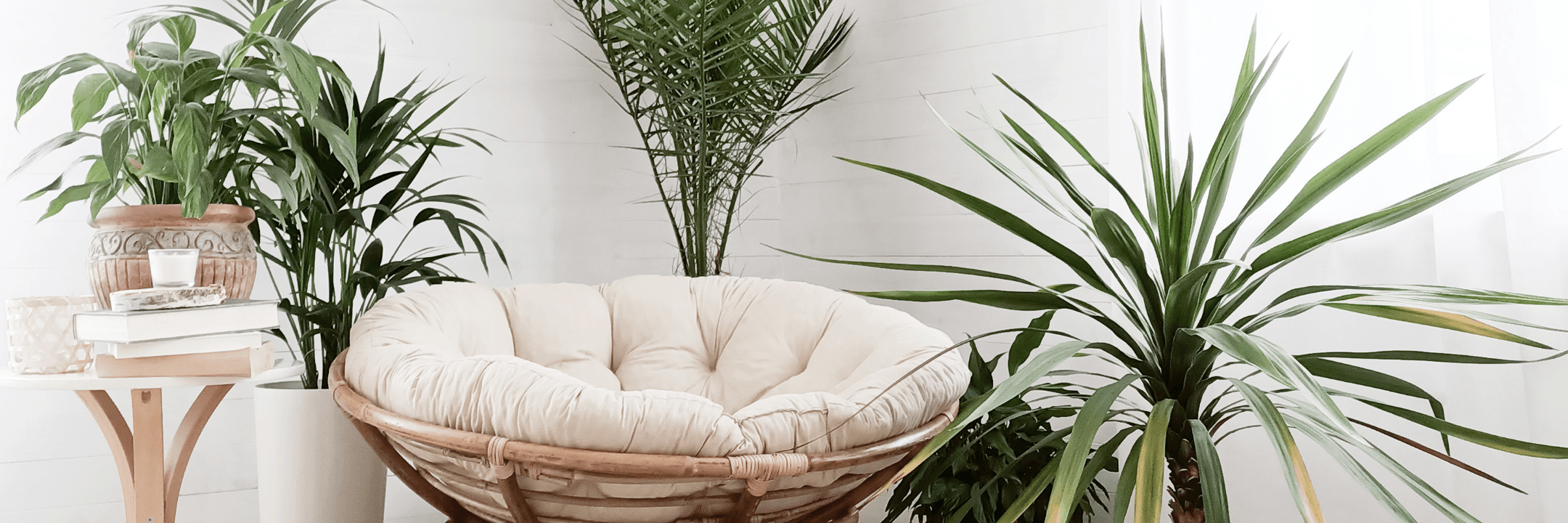Tuinposters - Bali Lifestyle Store