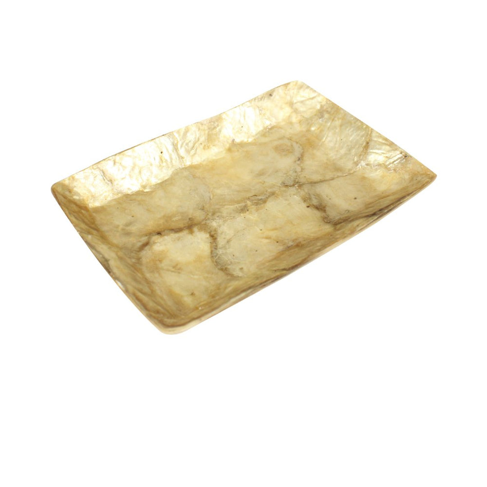 The Golden Sea Shell Plate