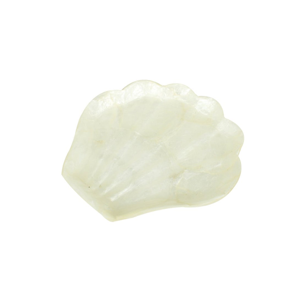 The Sea Shell Plate