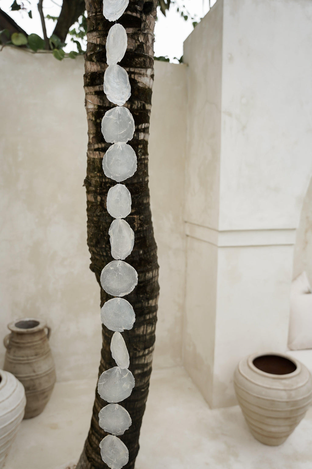 The Long Sea Shell - Hippie Monkey - Bali Lifestyle Store