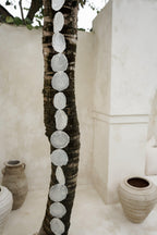 The Long Sea Shell - Hippie Monkey - Bali Lifestyle Store