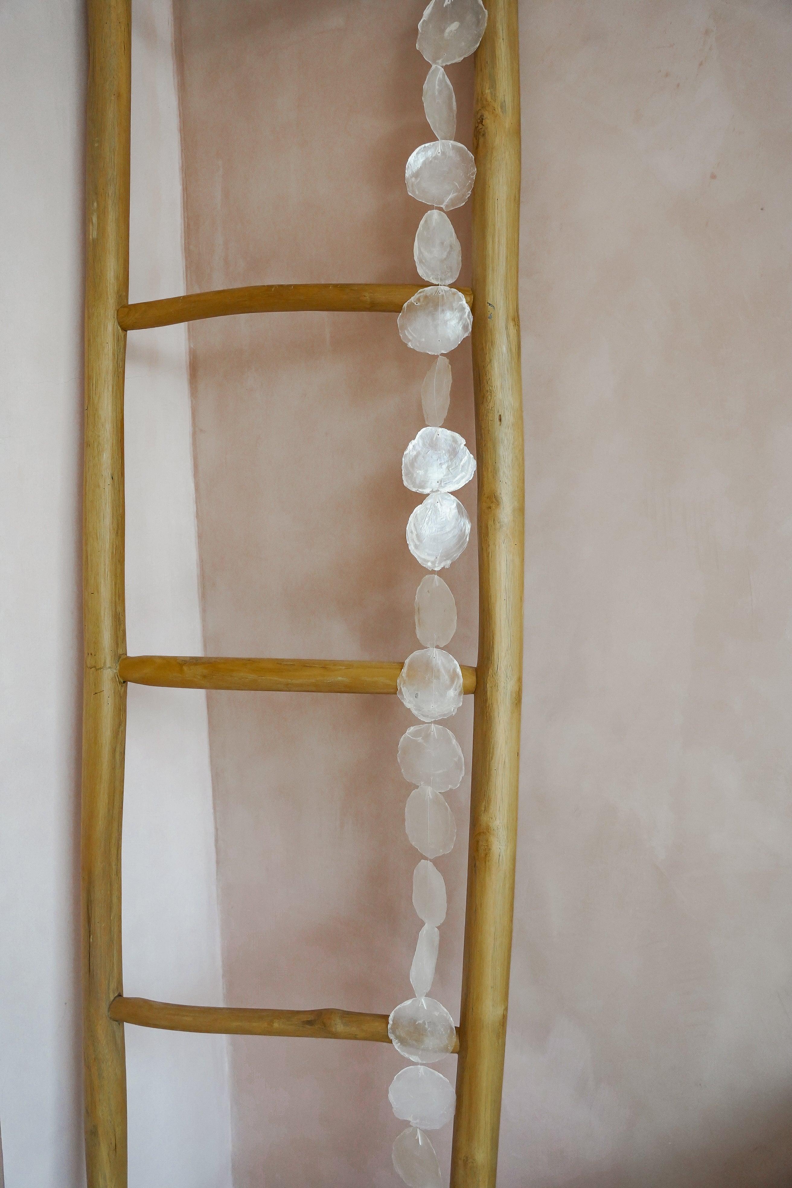 The Long Sea Shell - Hippie Monkey - Bali Lifestyle Store